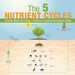 The 5 Nutrient Cycles - Science Book 3rd Grade Children's Science Education books by Baby Professor