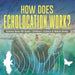 How Does Echolocation Work? Science Book 4th Grade Children's Science & Nature Books by Baby Professor