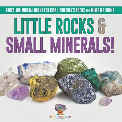 Little Rocks & Small Minerals! Rocks And Mineral Books for Kids Children's Rocks & Minerals Books by Baby Professor