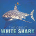 The Great White Shark: Animal Books for Kids Age 9-12 Children's Animal Books by Baby Professor