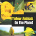 Yellow Animals On The Planet by Baby Professor