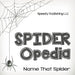 Spider-Opedia Name That Spider by Speedy Publishing LLC