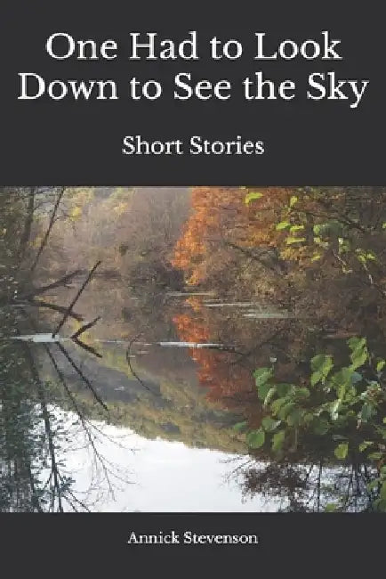 One Had to Look Down to See the Sky: Short Stories by Roger Stevenson