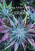 The Young Adult's Guide to Cannabis by Nabaa R. Al Korji