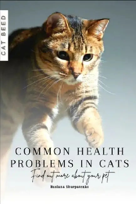 Common health problems in cats: Find out more about your pet by Ruslana Shurpatenko