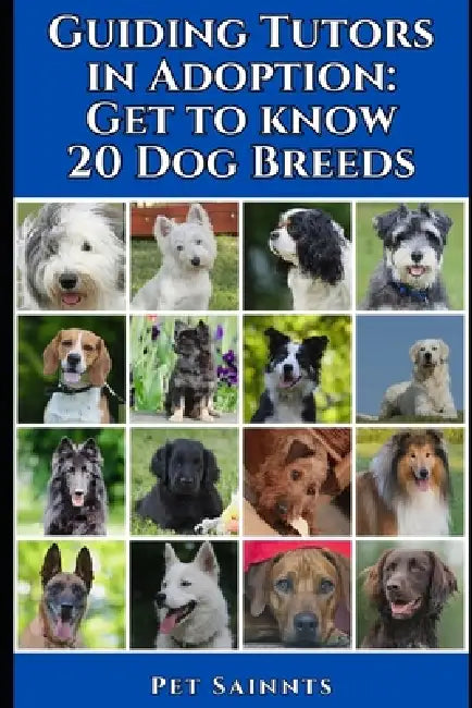 Guiding Tutors in Adoption: Get to know 20 Dog Breeds by Pet Sainnts