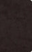 ESV Premium Church Bible (Trutone, Black)