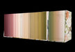 ESV Scripture Journal: Old and New Testament Sets (Artwork by Ruth Chou Simons) (Paperback) by Ruth Chou Simons