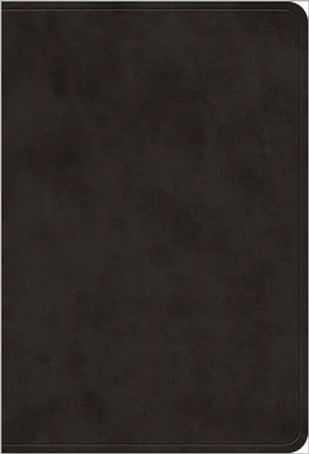 ESV Value Large Print Compact Bible (Trutone, Black) by Esv Bibles
