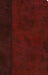 ESV Large Print Thinline Bible, Red Letter (Trutone, Burgundy/Red, Timeless Design) by Esv Bibles