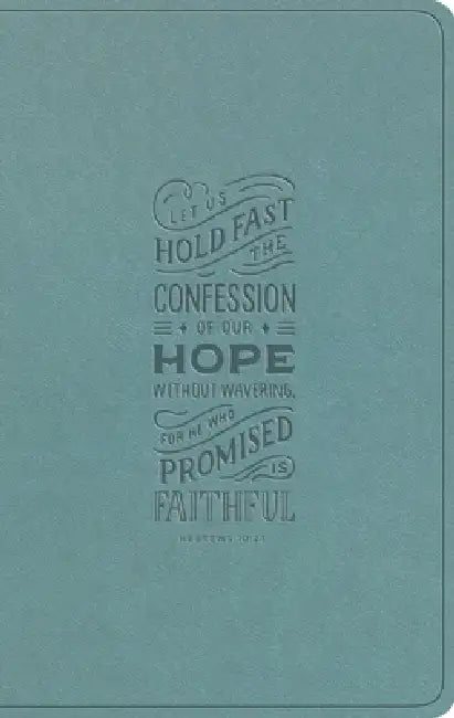 ESV Large Print Value Thinline Bible (Trutone, Paris Sky, Hebrews 10:23 Design) by Esv Bibles