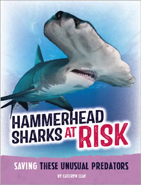 Hammerhead Sharks at Risk: Saving These Unusual Predators by Clay, Kathryn