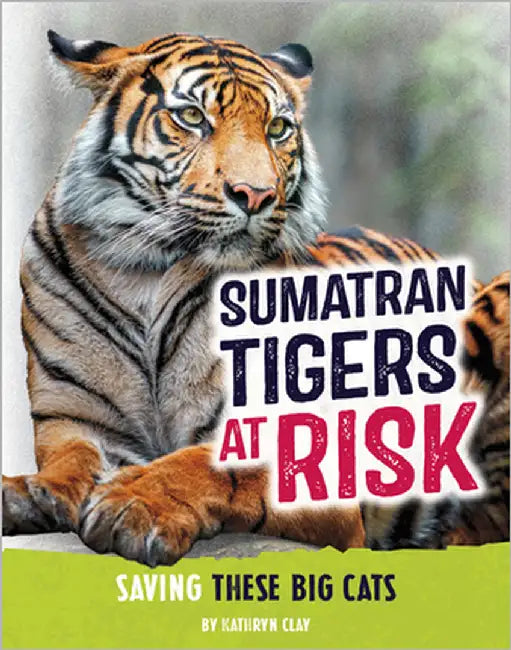 Sumatran Tigers at Risk: Saving These Fierce Big Cats by Clay, Kathryn