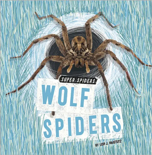 Wolf Spiders by Amstutz, Lisa J.