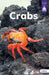 Crabs 