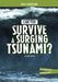 Can You Survive a Surging Tsunami?: An Interactive Survival Adventure by Matt Doeden