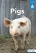 Pigs by Haley Williams