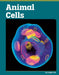 Animal Cells by Angela Lim