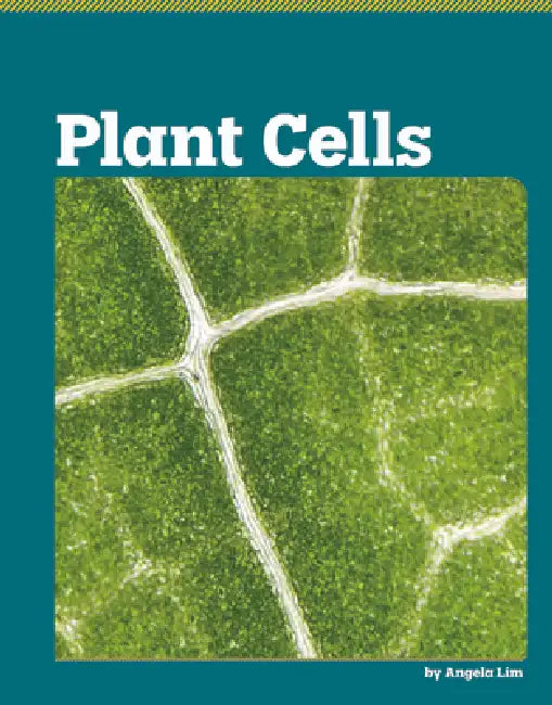 Plant Cells by Angela Lim