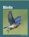 Birds by Lisa J. Amstutz