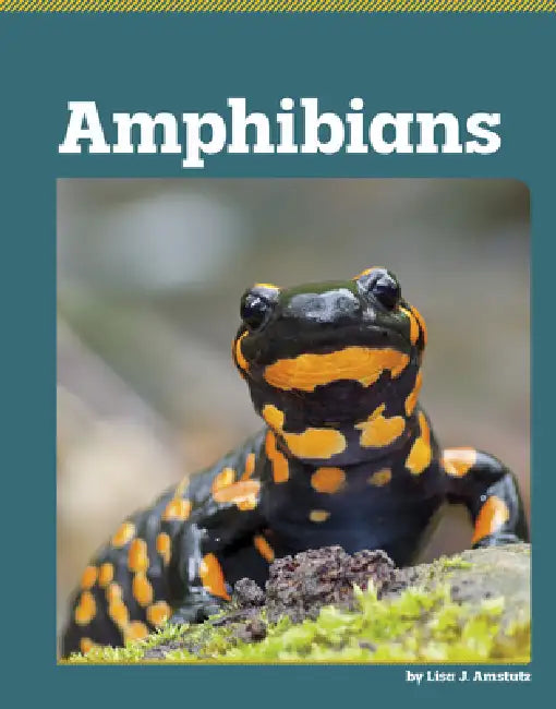 Amphibians by Lisa J. Amstutz
