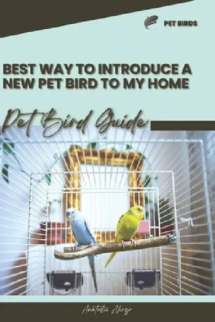 Best way to introduce a new pet bird to my home: Pet bird guide by Anatolii Ahryr