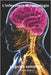 L'infermiera di neurologia La guida completa by Reali, Silvia