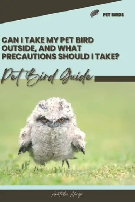 Can I take my pet bird outside, and what precautions should I take?: Pet bird guide by Anatolii Ahryr