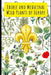 Edible and Medicinal Wild Plants of Europe by Thiago Zaupa
