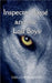 Inspector Bassé and the Lost Boys by S. Kellow Bingham