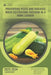 Preventing pests and diseases when cultivating zucchini in a home garden: Guide and overview by Van Doichev