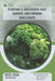 Starting a successful kale garden, and common challenges: Guide and overview by Van Doichev