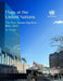 Flags at the United Nations: The First Avenue Flag Row: 1945-2024 by Eliot Sela