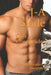 QB's Cheerleader: The MC President's Daughters by J-A Slade