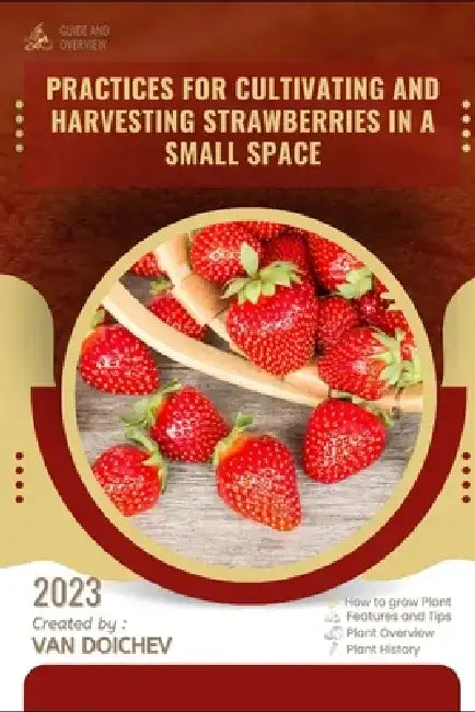 Practices for cultivating and harvesting strawberries in a small space: Guide and overview by Van Doichev