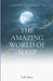 The Amazing World Of Sleep: Remember how we found that mysterious map in Grandma's attic? Well, buckle up because this chapter is all about ourinc by Kelly Muco