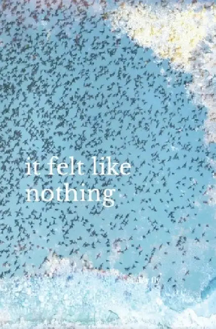 it felt like nothing by Ashley Fly