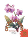 Orchid flower Coloring Book by Zainik Listiyani