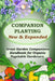 Companion Planting - New and Expanded: Great Garden Companions Handbook for Organic Vegetable Gardeners by James Paris