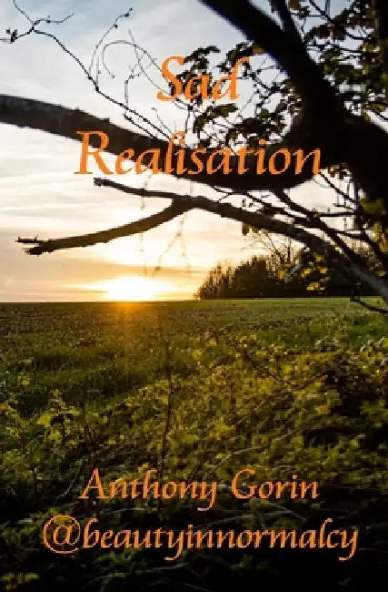 Sad Realisation: Sad lessons of life, learnt with reluctance by Anthony Gorin