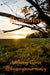 Sad Realisation: Sad lessons of life, learnt with reluctance by Anthony Gorin
