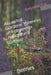 Ancestral Gardens: Berries: Millennia of Indigenous Agricultural Genius by Amyrose Foll