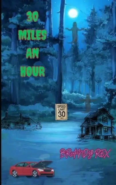 30 Miles An Hour by Brandy Rex