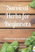 Survival Herbs for Beginners: Herbal Medicine Made Easy by Amanda P. Cartwright