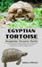 Egyptian Tortoise by Adams Jefferson