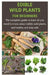 Edible Wild Plants for Beginners: The complete guide to learn all you need to know about edible wild plants, eat healthy and stay safe by Theo Davies