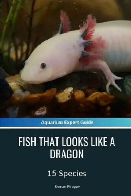 Fish That Looks Like A Dragon: 15 Species by Roman Pirogov