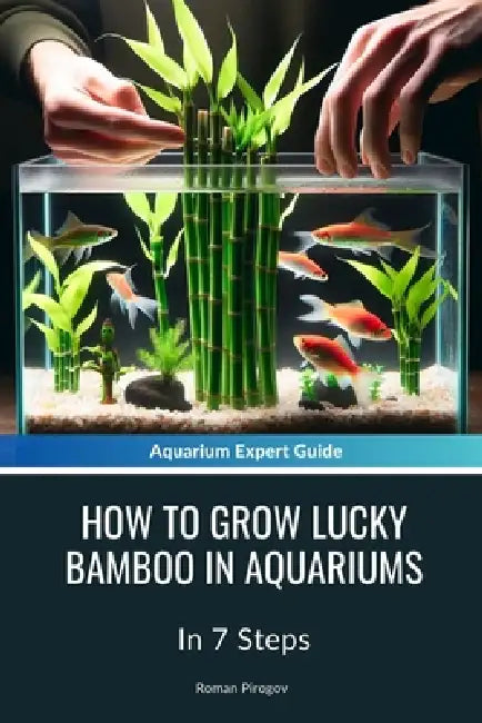 How To Grow Lucky Bamboo In Aquariums: In 7 Steps by Roman Pirogov