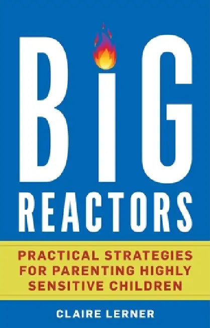 Big Reactors: Practical Strategies for Parenting Highly Sensitive Children by Claire Lerner