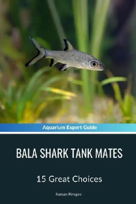Bala Shark Tank Mates: 15 Great Choices by Roman Pirogov
